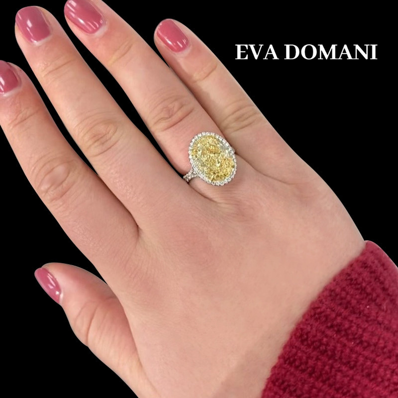 copie de copie de copie de copie de copie de LE PIC DE CHAMPAGNE